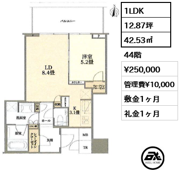 1LDK 42.53㎡  賃料¥250,000 管理費¥10,000 敷金1ヶ月 礼金1ヶ月