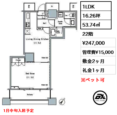 1LDK 53.74㎡  賃料¥247,000 管理費¥15,000 敷金2ヶ月 礼金1ヶ月 1月中旬入居予定