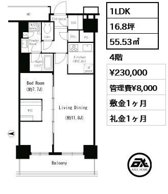 1LDK 55.53㎡  賃料¥230,000 管理費¥8,000 敷金1ヶ月 礼金1ヶ月