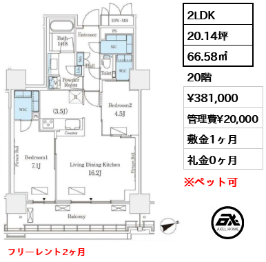 2LDK 66.58㎡  賃料¥381,000 管理費¥20,000 敷金1ヶ月 礼金0ヶ月 フリーレント2ヶ月
