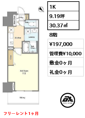 1K 30.37㎡  賃料¥197,000 管理費¥10,000 敷金0ヶ月 礼金0ヶ月 フリーレント1ヶ月　