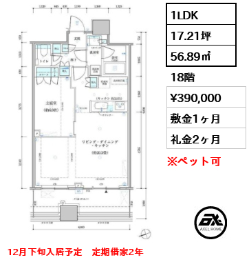 1LDK 56.89㎡  賃料¥390,000 敷金1ヶ月 礼金2ヶ月 12月下旬入居予定　定期借家2年