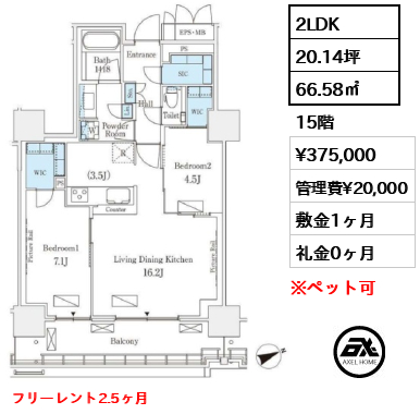 2LDK 66.58㎡  賃料¥375,000 管理費¥20,000 敷金1ヶ月 礼金0ヶ月 フリーレント2.5ヶ月