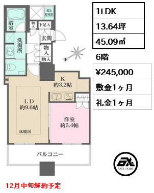 1LDK 45.09㎡  賃料¥245,000 敷金1ヶ月 礼金1ヶ月 12月中旬解約予定