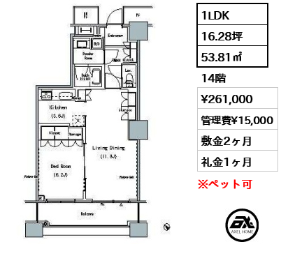 1LDK 53.81㎡  賃料¥261,000 管理費¥15,000 敷金2ヶ月 礼金1ヶ月