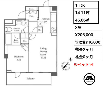 1LDK 46.66㎡  賃料¥205,000 管理費¥10,000 敷金2ヶ月 礼金0ヶ月