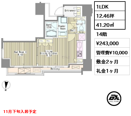 1LDK 41.20㎡  賃料¥243,000 管理費¥10,000 敷金2ヶ月 礼金1ヶ月 11月下旬入居予定