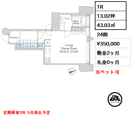1R 43.03㎡  賃料¥350,000 敷金2ヶ月 礼金0ヶ月 定期借家3年 5月退去予定