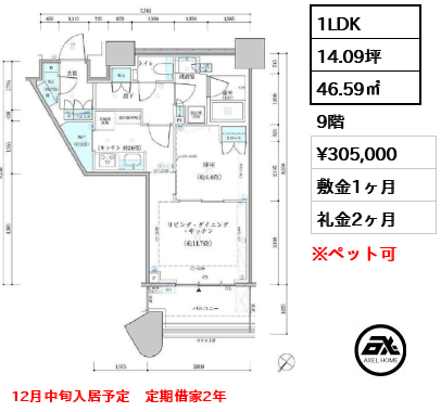1LDK 46.59㎡  賃料¥305,000 敷金1ヶ月 礼金2ヶ月 12月中旬入居予定　定期借家2年