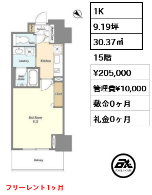 1K 30.37㎡  賃料¥205,000 管理費¥10,000 敷金0ヶ月 礼金0ヶ月 フリーレント1ヶ月