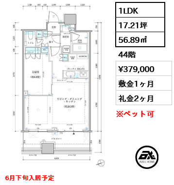 1LDK 56.89㎡  賃料¥379,000 敷金1ヶ月 礼金2ヶ月 6月下旬入居予定