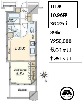 1LDK 36.22㎡  賃料¥250,000 敷金1ヶ月 礼金1ヶ月