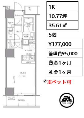 間取り4 1K 35.61㎡  賃料¥177,000 管理費¥5,000 敷金1ヶ月 礼金1ヶ月